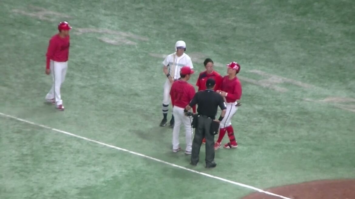 田中広輔にデッドボール 謝る岡本和真【 読売ジャイアンツ対 広島カープ2024年4月13日】