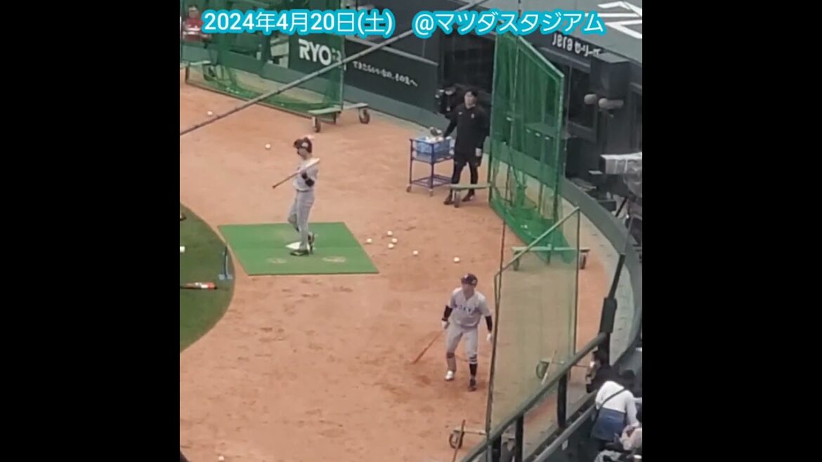 20240420　#吉川尚輝 #中山礼都　並んで打撃練習　#shorts@MAZDA Zoom-Zoom ｽﾀｼﾞｱﾑ広島･ﾋﾞｼﾞﾀｰﾊﾟﾌｫｰﾏﾝｽ