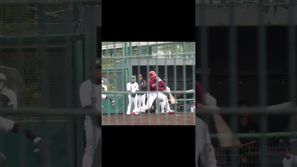 【ゴールデンイーグルス】小峯 新陸の打撃フォーム2024年3月5日 春季教育リーグロッテ浦和球場 千葉ロッテ対 楽天イーグルス
