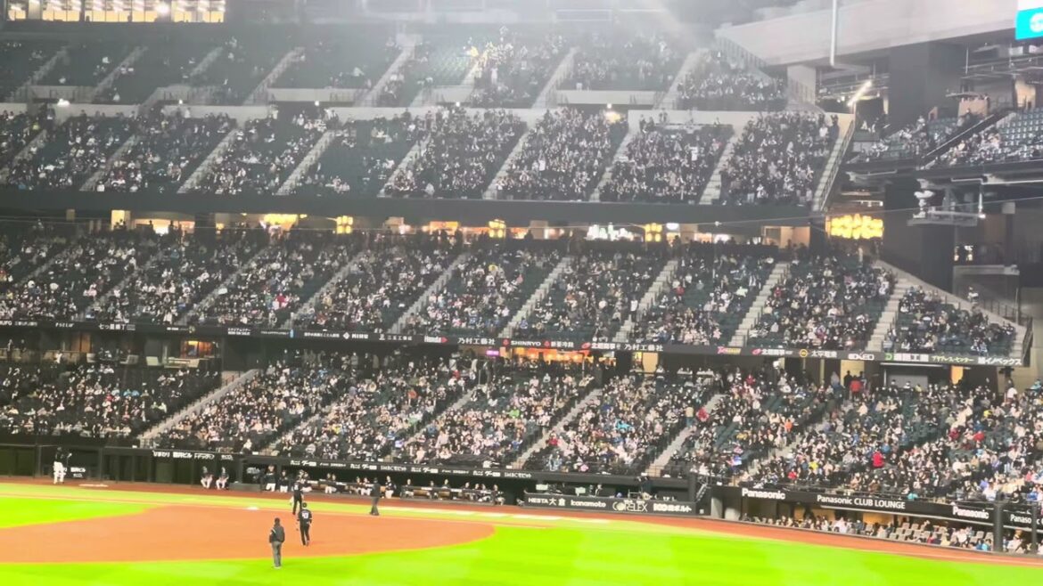 心地良くなってしまうロッテ藤岡裕大の応援歌　エスコンフィールド北海道日本ハム対ロッテ