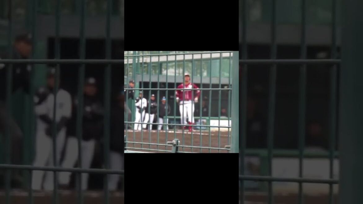 【ゴールデンイーグルス】江川 侑斗の打撃フォーム 2024年3月5日 春季教育リーグロッテ浦和球場 千葉ロッテ対 楽天イーグルス