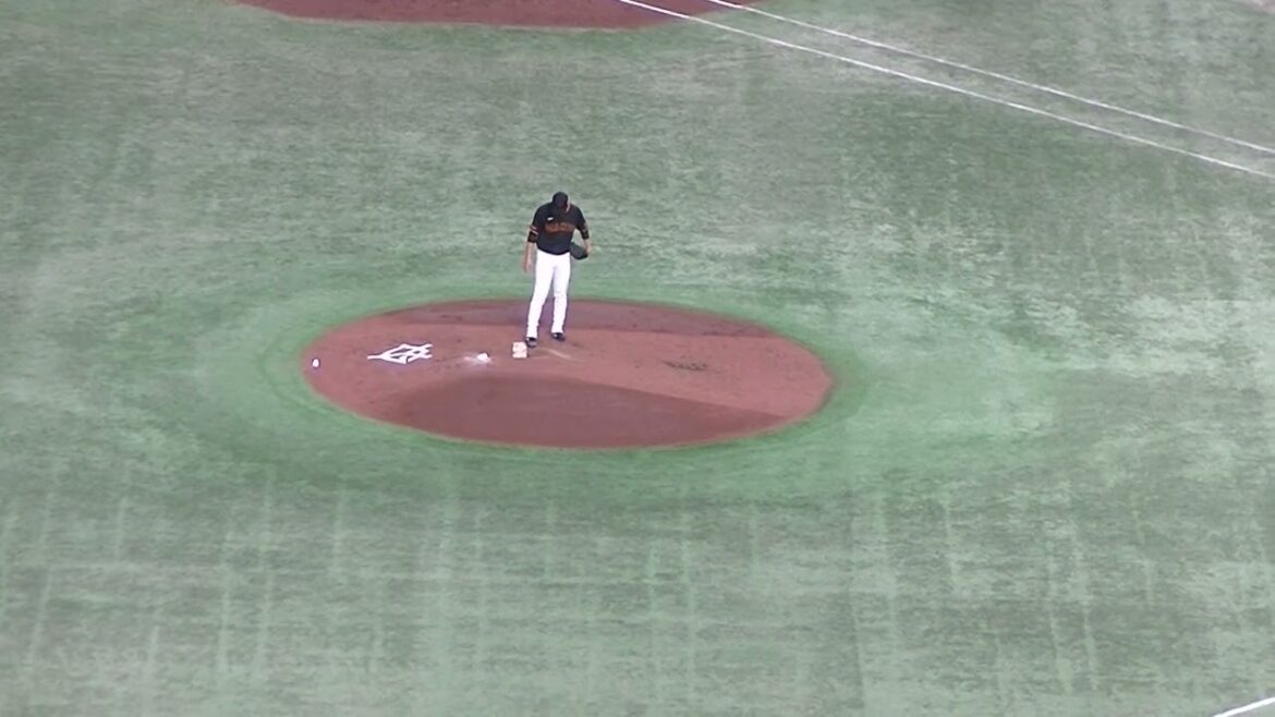 小園海斗ももにデッドボール【 読売ジャイアンツ対 広島カープ2024年4月13日】