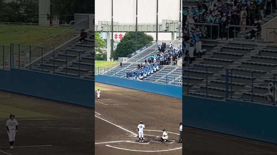 楽天イーグルス山﨑剛選手の応援歌!千葉の東京学館浦安が高校野球応援で神曲使用!2024/4/21 楽天イーグルス山﨑剛選手の応援歌!千葉の東京学館浦安が高校野球応援で神曲使用!2024/4/21