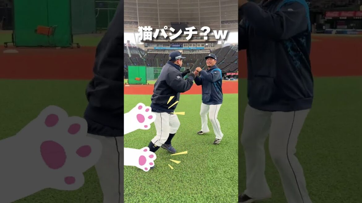 【猫パンチ炸裂！？】中村選手と柘植選手のシャドーボクシングはショート動画行きです
