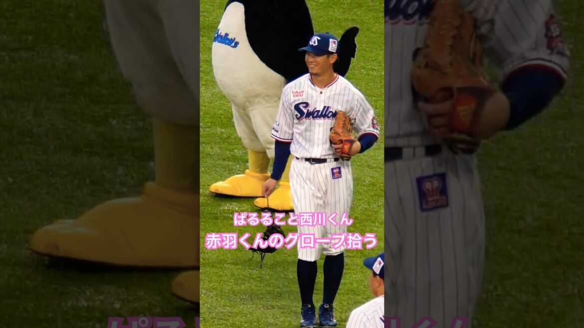 西川くん　赤羽くんが忘れたグローブを拾う！？ #野球 #swallows #西川遥輝 #赤羽由紘 #つば九郎