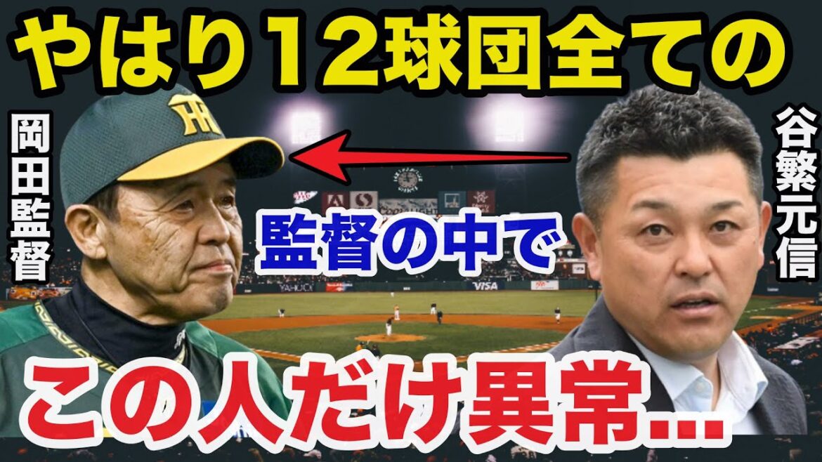 谷繁元信「あの勝ち方はありえない」本領発揮の岡田監督率いる阪神タイガースに谷繁が思わず漏らした本音に一同驚愕【プロ野球】