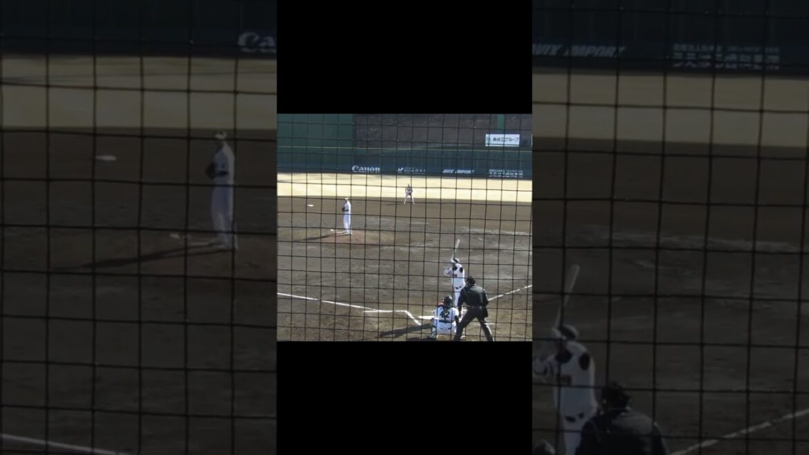 代打 重信慎之介 さすがのいきなりタイムリーヒット（練習試合 読売ジャイアンツ対 尚武フェニックス2024年3月3日）