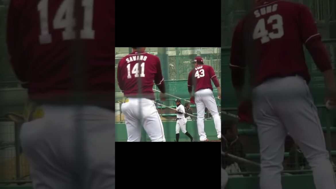 【ゴールデンイーグルス】宋家豪の投球フォーム2024年3月5日 春季教育リーグロッテ浦和球場 千葉ロッテ対 楽天イーグルス