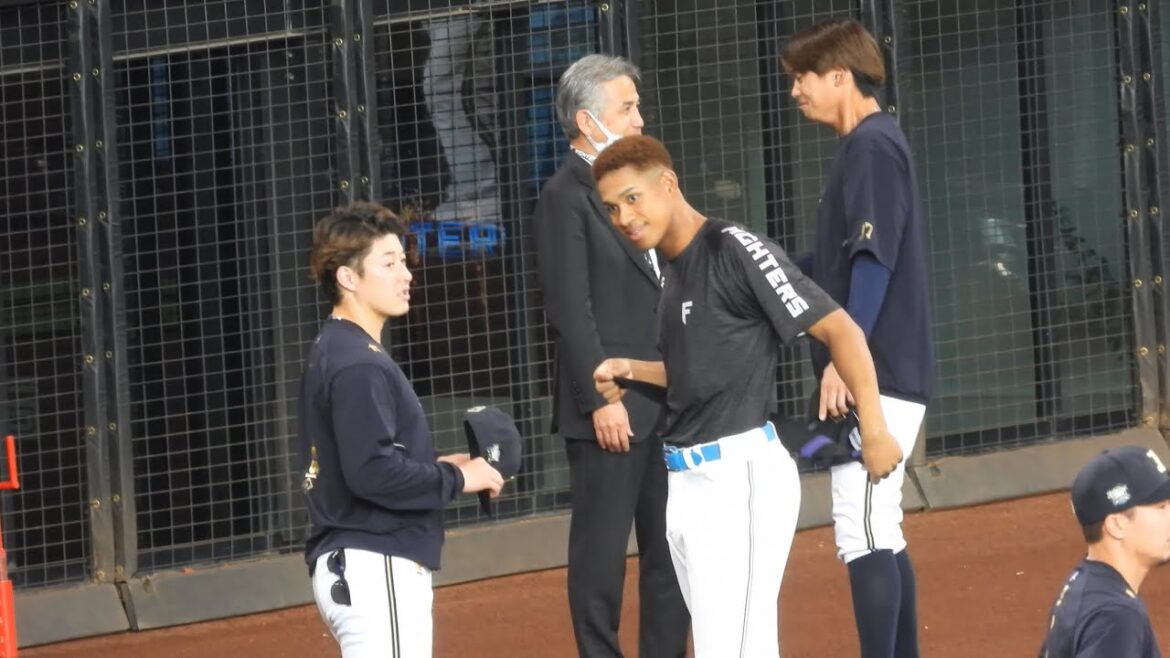 【20240427】吉田輝星と万波中正