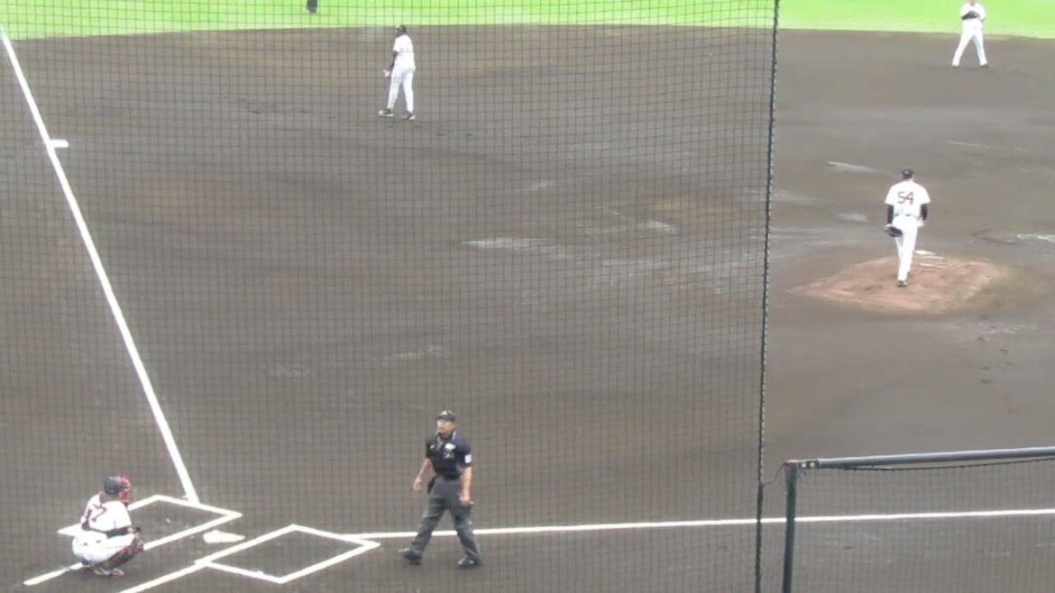 ジャイアンツ直江大輔ピッチングフォーム＜読売ジャイアンツ 対 日本ハムファイターズ 2024年4月18日＞