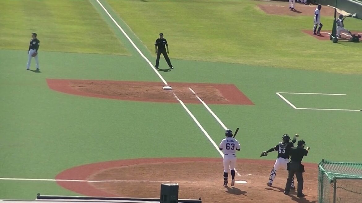 増田珠をサードゴロに打ち取る二木康太【ヤクルトスワローズ対 千葉ロッテマリーンズ イースタン2024年4月19日】