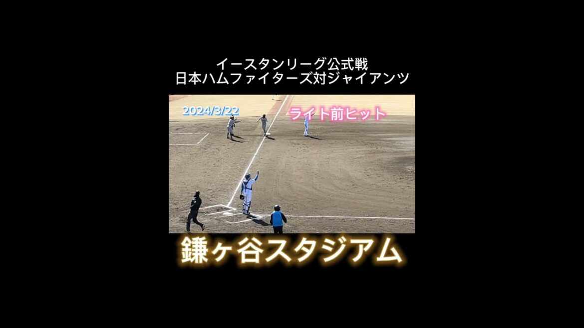 【イースタンリーグ】  #黒木優太 対 #ティマ #shorts #プロ野球 #北海道日本ハムファイターズ #巨人 #ジャイアンツ #巨人2軍