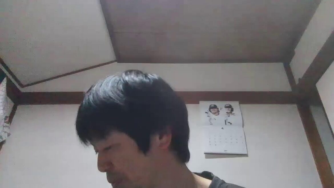 [４月２５日(木)]千葉ロッテマリーンズ対福岡ソフトバンクホークス　観ながら配信　今日こそは勝ってくれ。ロッテ。