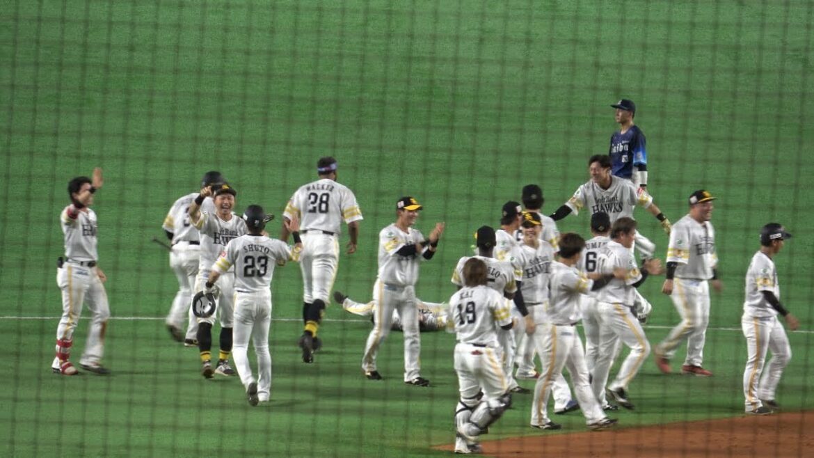 今季初⚾️ホークスサヨナラ勝ち⭐️川瀬晃が決めた‼️ 金子侑司ウィニングボールを届ける(T . T)2024.4.27⚾️ソフトバンクホークス対西武ライオンズ
