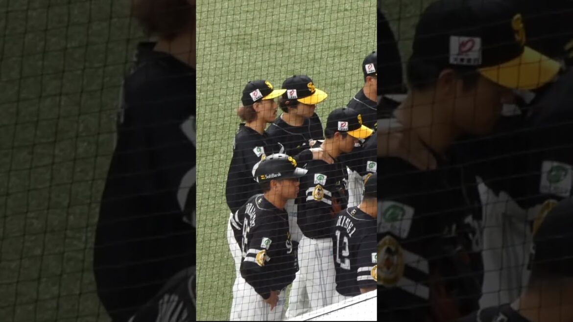 三森 大貴　お客さん～けっこう凝ってますね～　#福岡ソフトバンクホークス #shorts