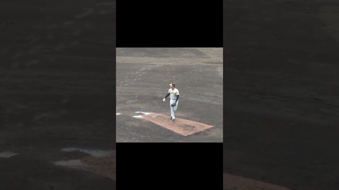 【タイガース】加治屋蓮2024年 投球フォーム（巨人阪神オープン戦2024年2月23日）