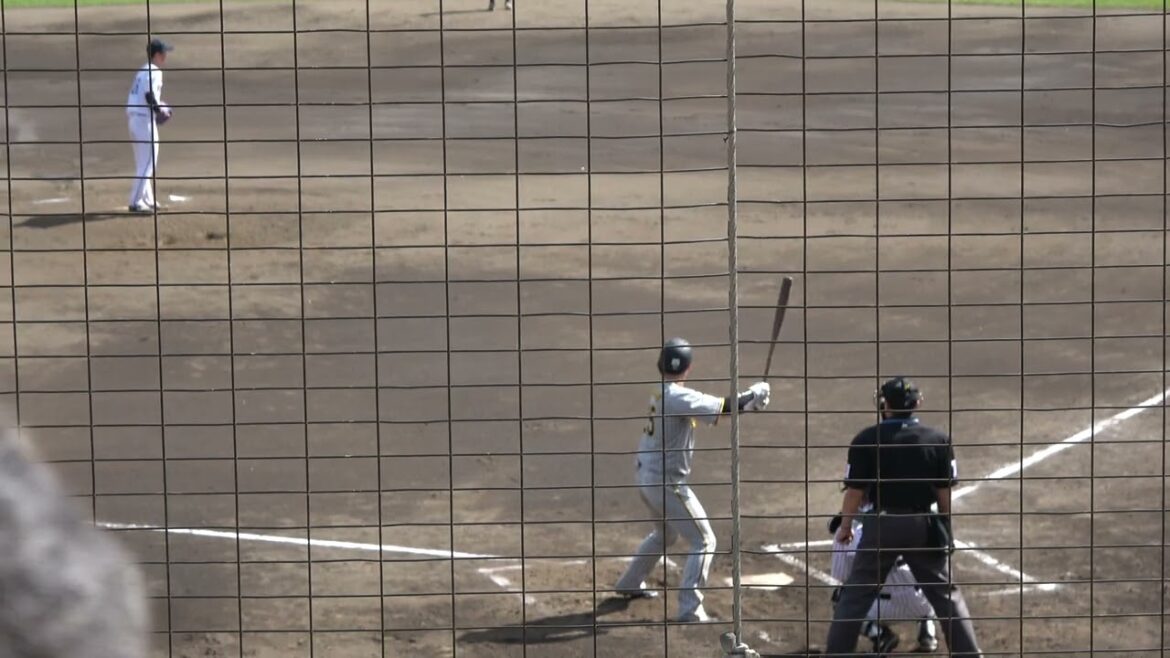 阪神タイガース 渡邉諒選手 第4打席 センターフライ 2024/4/19 ちゅーるスタジアム VS くふうハヤテベンチャーズ 奥田域太投手