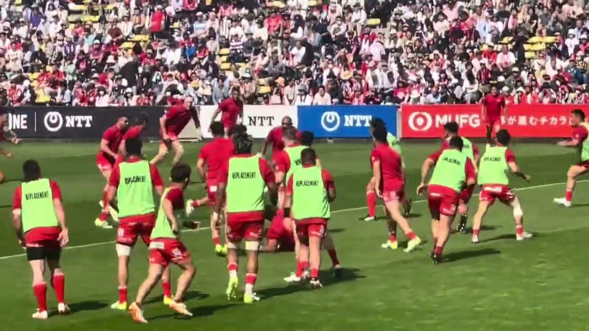 【ウォーミングアップ・選手入場】東芝ブレイブルーパスvsコベルコ神戸スティーラーズ 24.4.17 【ウォーミングアップ・選手入場】東芝ブレイブルーパスvsコベルコ神戸スティーラーズ 24.4.17