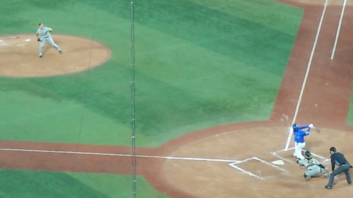 坂本誠志郎が飛び出した牧秀悟を二塁で刺す！サヨナラのピンチを救うファインプレー！2024/04/23 阪神タイガース 牽制