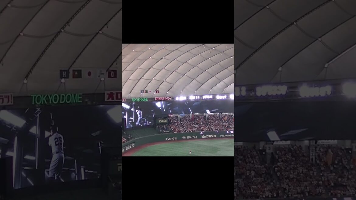 ジャイアンツ岡本和真 登場曲2024「希望の轍」