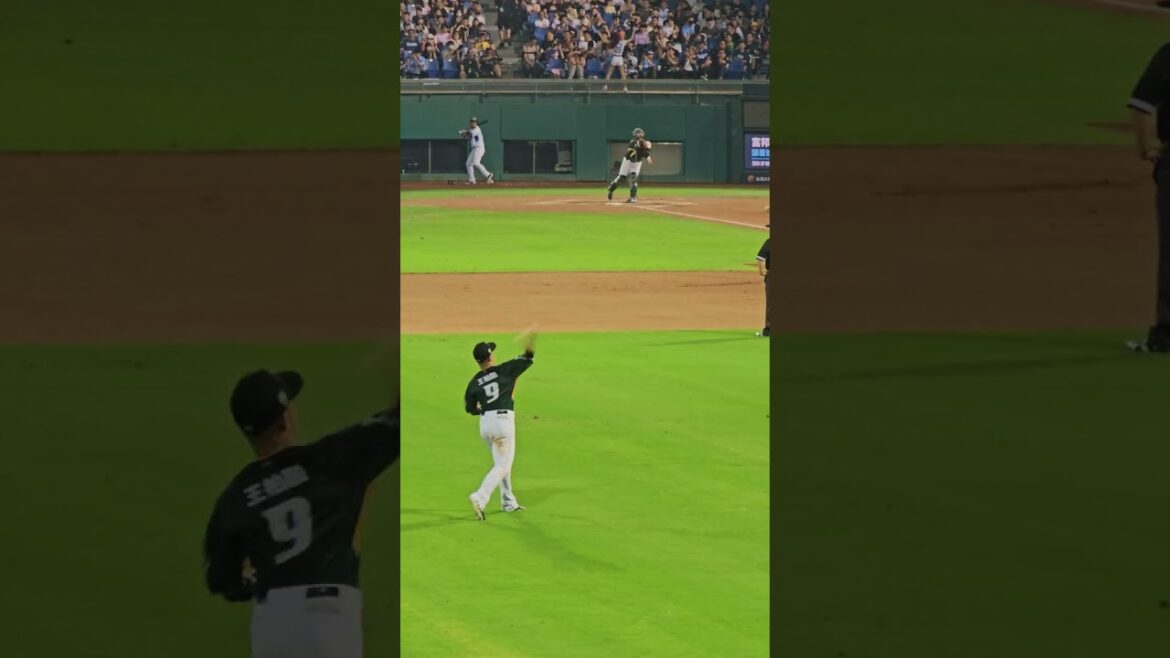 【2024 CPBL】04/23 王柏融 局間熱身 | HAWKS #9 WANG Po Jung | 台鋼雄鷹 vs 富邦悍將