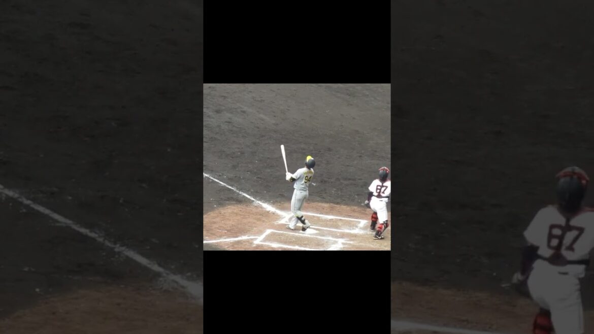 【タイガース】原口文仁2024年 打撃フォーム （巨人阪神オープン戦2024年2月23日）