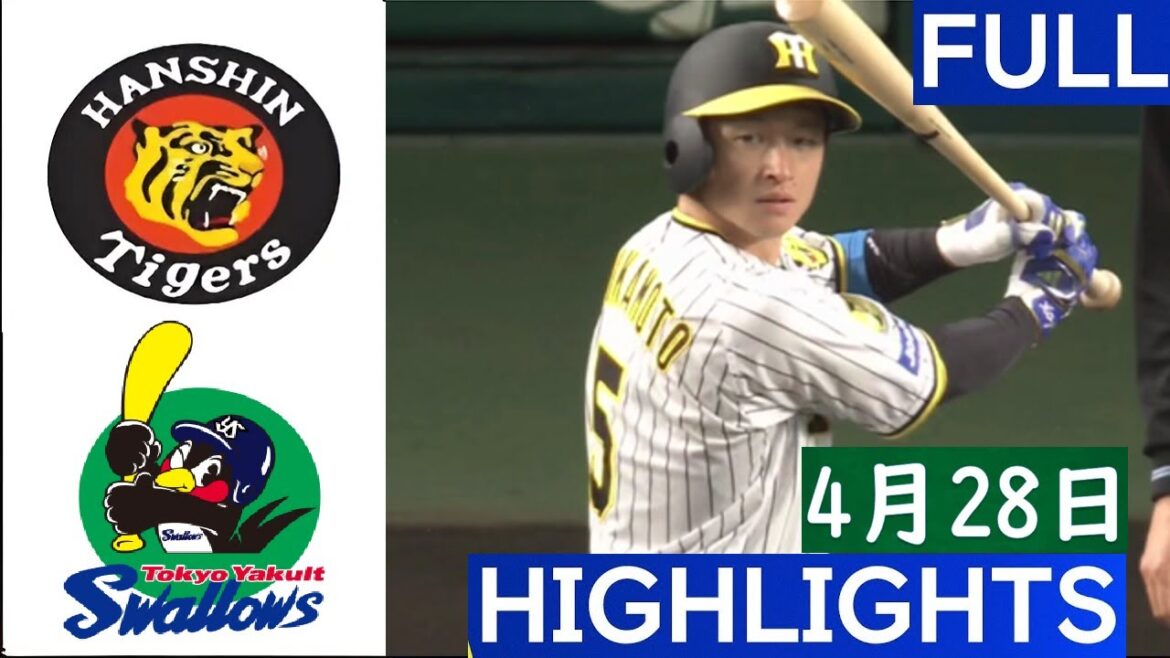 4月28日【ヤクルト vs 阪神】🅵🆄🅻🅻 ハイライト＆ホームラン ~ プロ野球2024  阪神 vs ヤクルト ハイライト