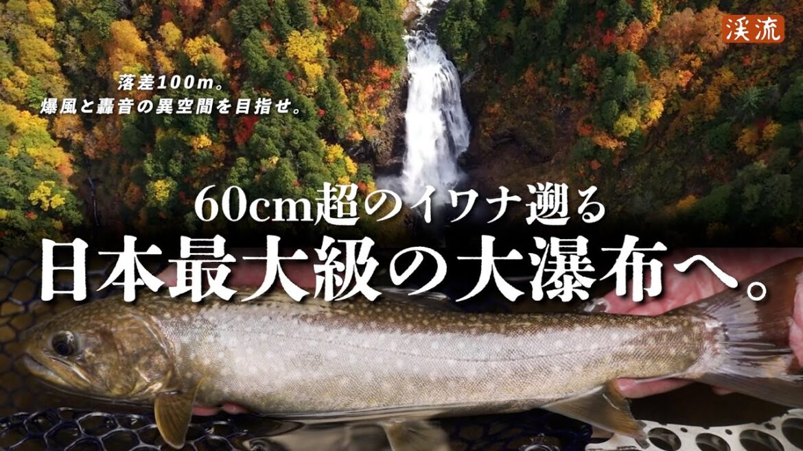 【渓流釣り】巨大イワナたちが目指すのは、日本最大級の大直瀑だった。阿賀野川水系只見川 【渓流釣り】巨大イワナたちが目指すのは、日本最大級の大直瀑だった。阿賀野川水系只見川