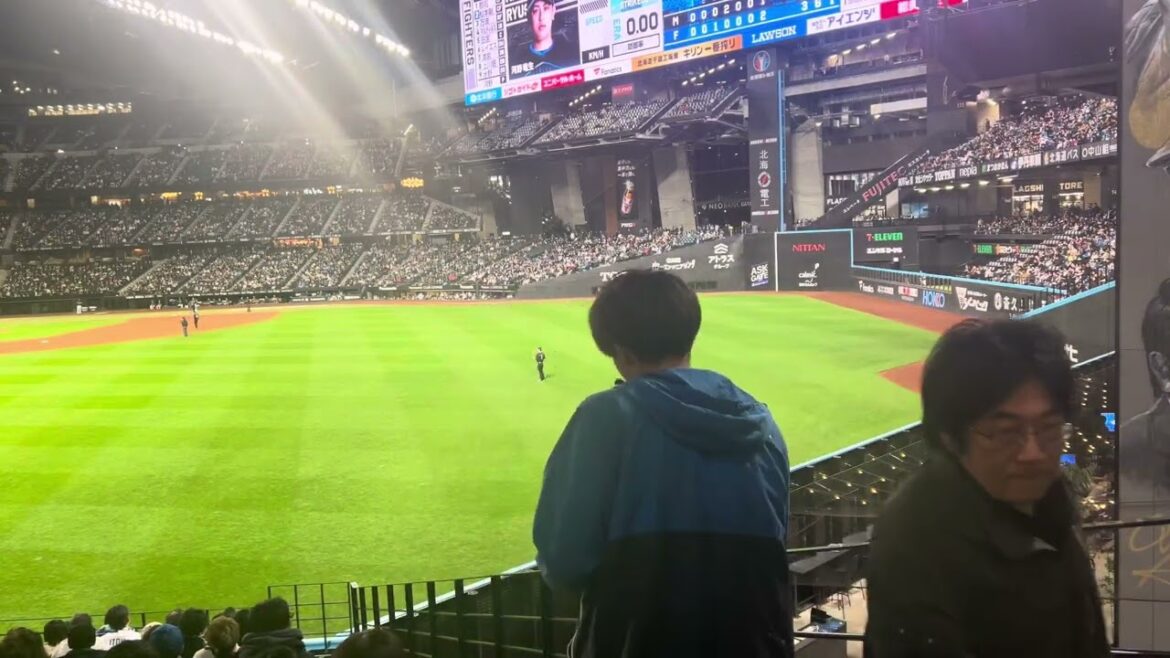 ※イヤホン推奨※ロッテ藤岡裕大の応援歌が気持ち良すぎる　ドーム型球場ならではの反響　エスコンフィールド北海道日本ハム対ロッテ　ビジター応援
