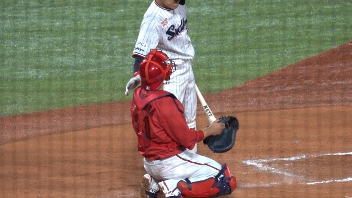 ファールチップが当たってしまった坂倉将吾、中村悠平にポンポンってしてもらう 東京ヤクルトスワローズ 広島東洋カープ 2024/04/23