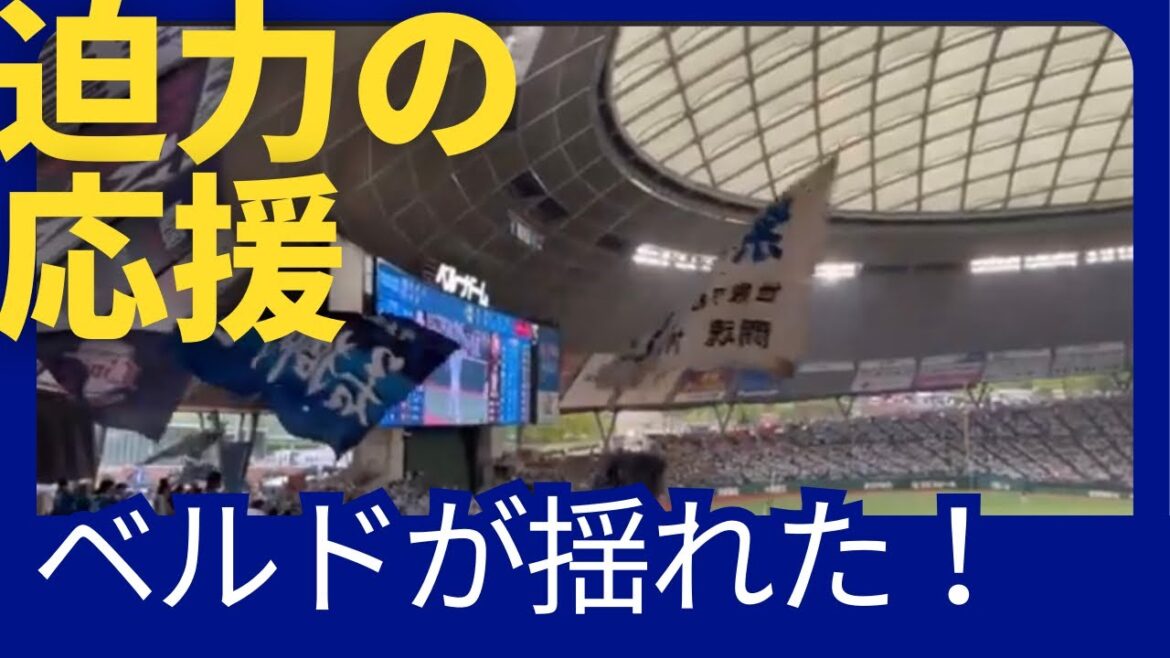 【ベルーナドーム】西武ブルーシリーズ　西武vs楽天　2024/04/21