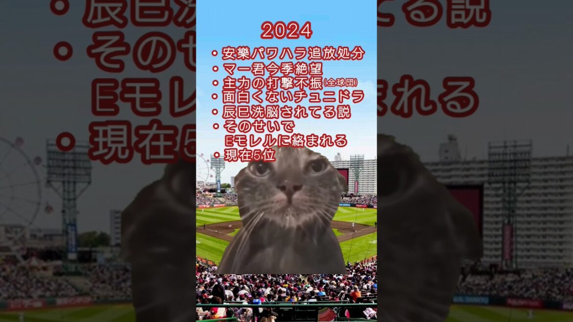 [プロ野球]過去3年と現在の状況に絶望する楽天ファンの心理 #猫ミーム #野球 #cat #野球ネタ #熱い巨党 #プロ野球 #楽天イーグルス #安楽智大