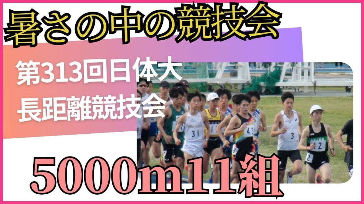 5000m11組 第313回日体大長距離競技会 #唐澤拓海 #小森コーポレーション #中野大地 #コモディイイダ 5000m11組 第313回日体大長距離競技会 #唐澤拓海 #小森コーポレーション #中野大地 #コモディイイダ