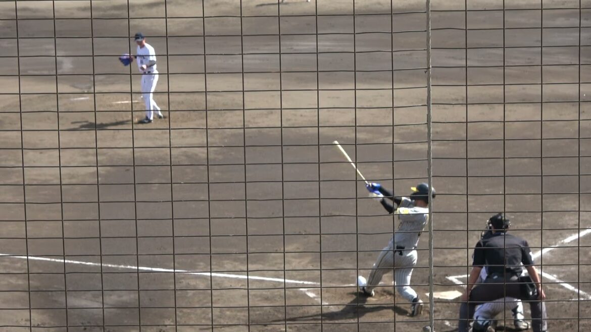 阪神タイガース 井上広大選手 第4打席 ライトフライ 2024/4/19 ちゅーるスタジアム VS くふうハヤテベンチャーズ 奥田域太投手