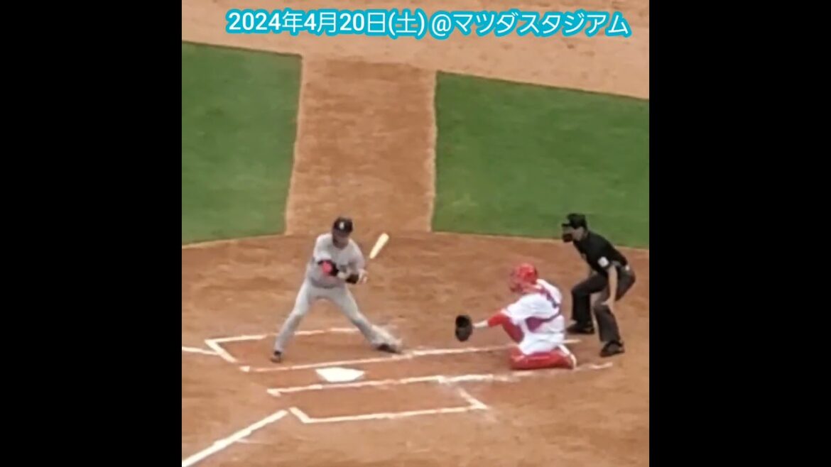 20240420　代打で登場！#中山礼都 の打撃フォーム　#shorts@MAZDA Zoom-Zoom ｽﾀｼﾞｱﾑ広島･ﾋﾞｼﾞﾀｰﾊﾟﾌｫｰﾏﾝｽ