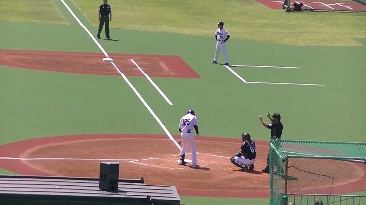 スワローズ フェリペの打球 風に流れてヒットとなる【ヤクルトスワローズ対 千葉ロッテマリーンズ イースタン2024年4月19日】