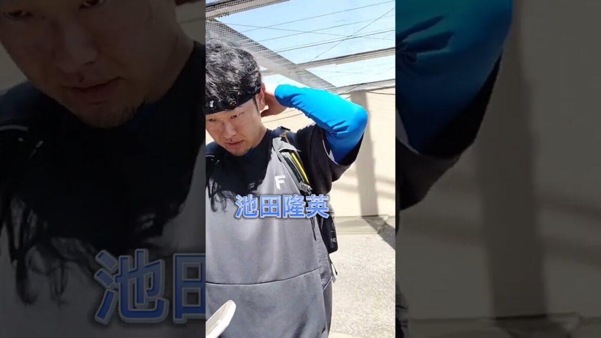 【FIGHTERS】 #池田隆英 投手のファンサービス #プロ野球 #北海道日本ハムファイターズ #shorts #fighters