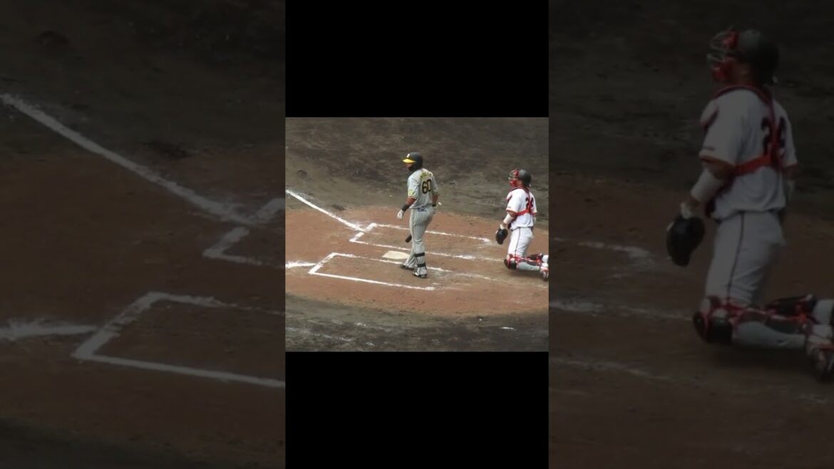 【タイガース】小野寺暖2024年 打撃フォーム（巨人阪神オープン戦2024年2月23日）