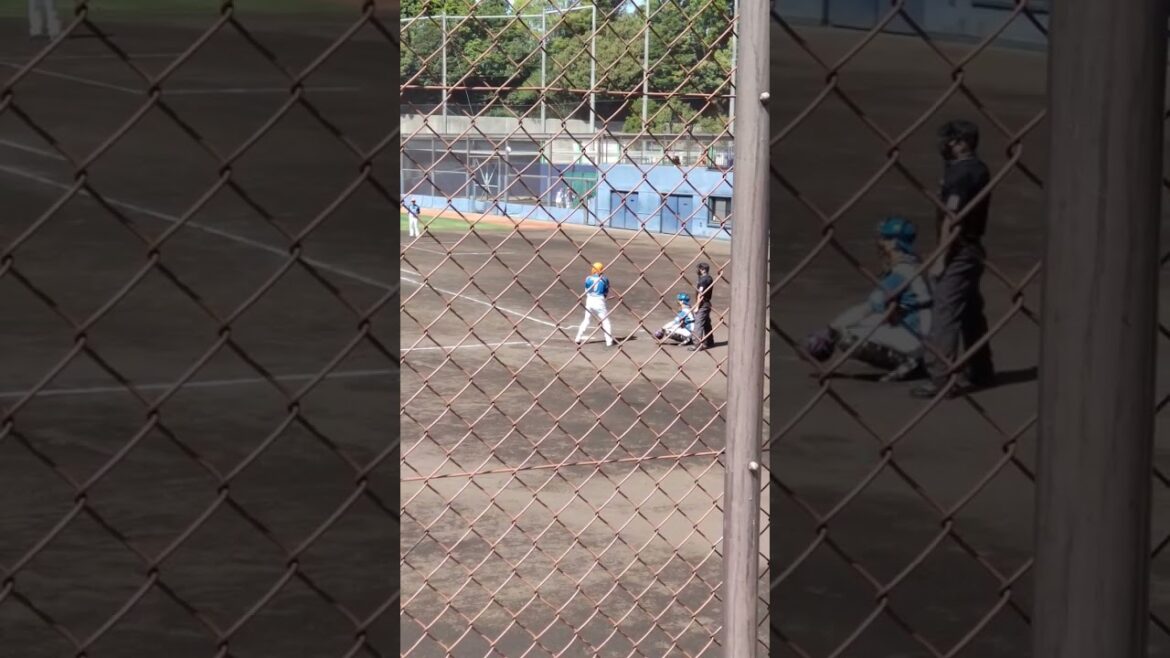 オイシックス新潟、陽岱鋼選手の打席（2024年4月18日、鎌ヶ谷スタジアム、対北海道日本ハム）