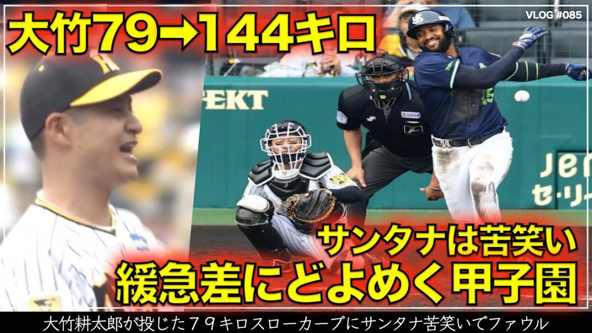 【阪神タイガース】20秒でわかる 大竹耕太郎が投じた７９キロスローカーブにサンタナ苦笑いでファウル 直後に144キロで緩急差にどよめく甲子園の一部始終（阪神対ヤクルト）