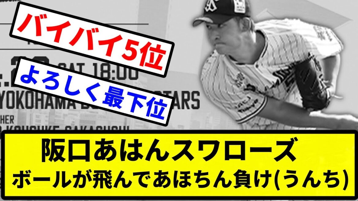 【もう終わりだよ】阪口あはんスワローズ ボールが飛んであほちん負け(うんち)【プロ野球反応集】【2chスレ】【1分動画】【5chスレ】