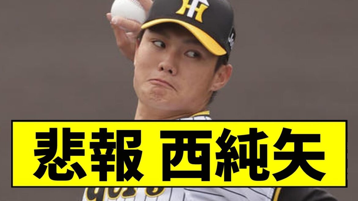 【阪神】西純矢がヤバいことになっている...【2chスレ】