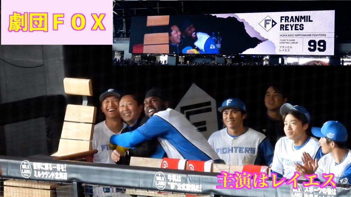 【20240429】本日の劇団FOX。主演はレイエス!! 【20240429】本日の劇団FOX。主演はレイエス!!