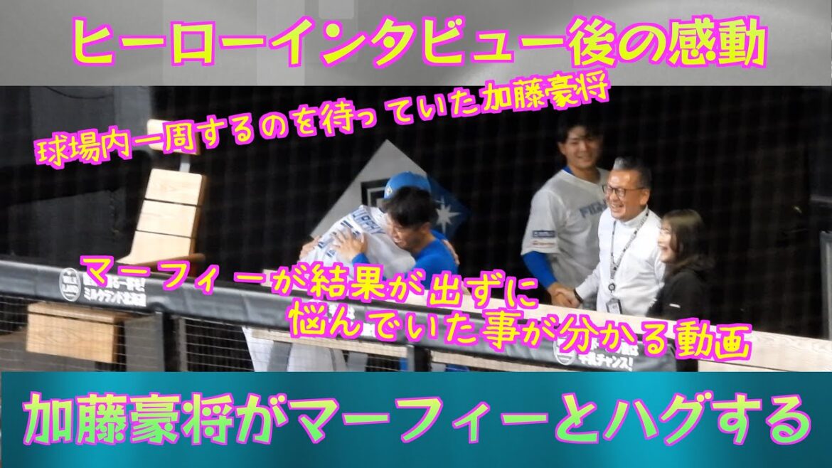 【20240429】球場内一周するのを待っていた加藤豪将がマーフィーとハグする動画
