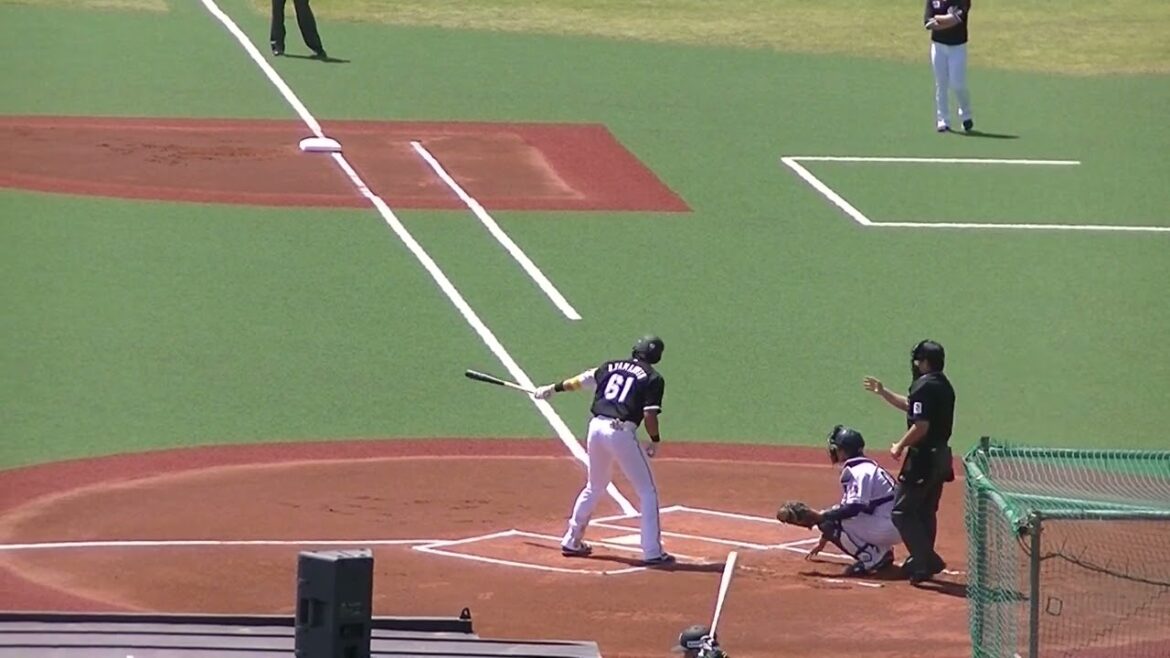 山本大斗センターフライ すごい強風で取りづらそう【ヤクルトスワローズ対 千葉ロッテマリーンズ イースタン2024年4月19日】