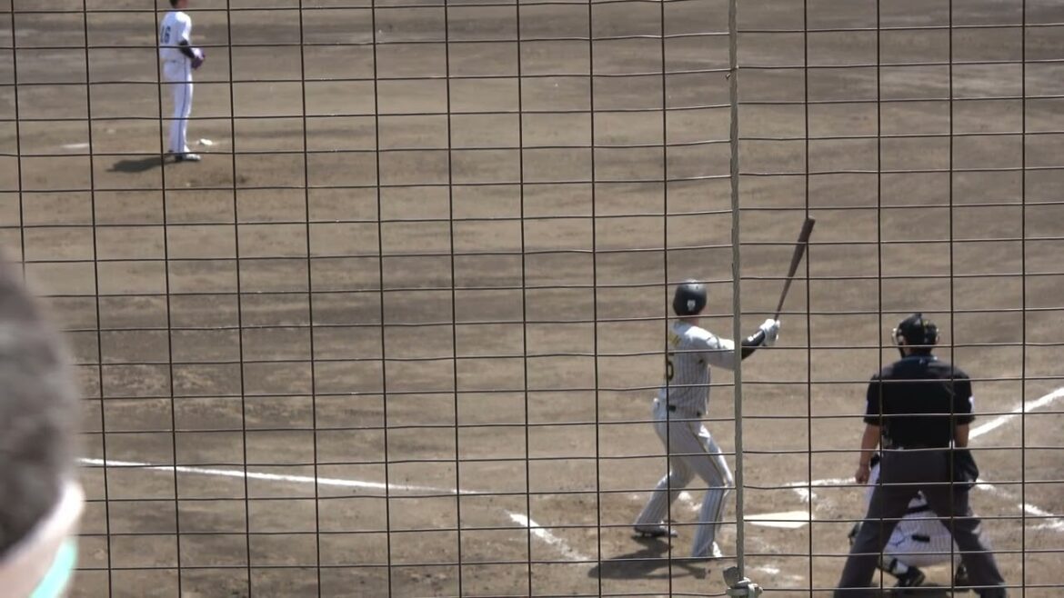 阪神タイガース 渡邉諒選手 第2打席 ライトフライ 2024/4/19 ちゅーるスタジアム VS くふうハヤテベンチャーズ 奥田域太投手