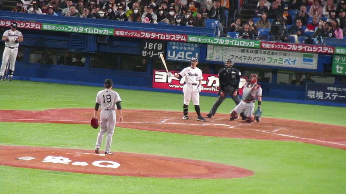 【スガコバ】青木宣親を打ち取る菅野智之（ ヤクルトスワローズ対 読売ジャイアンツ2024年4月11日）