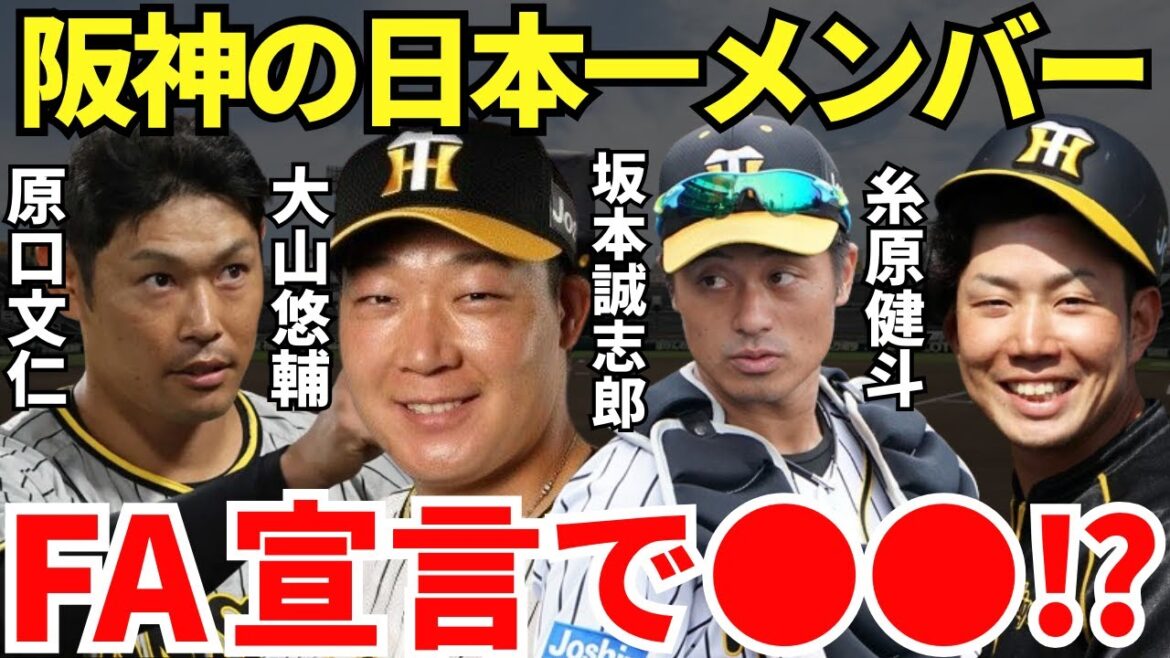 【移籍か残留か問題勃発！】阪神タイガースの日本一の立役者となったFA選手たちは来年どこのチームでプレーする？