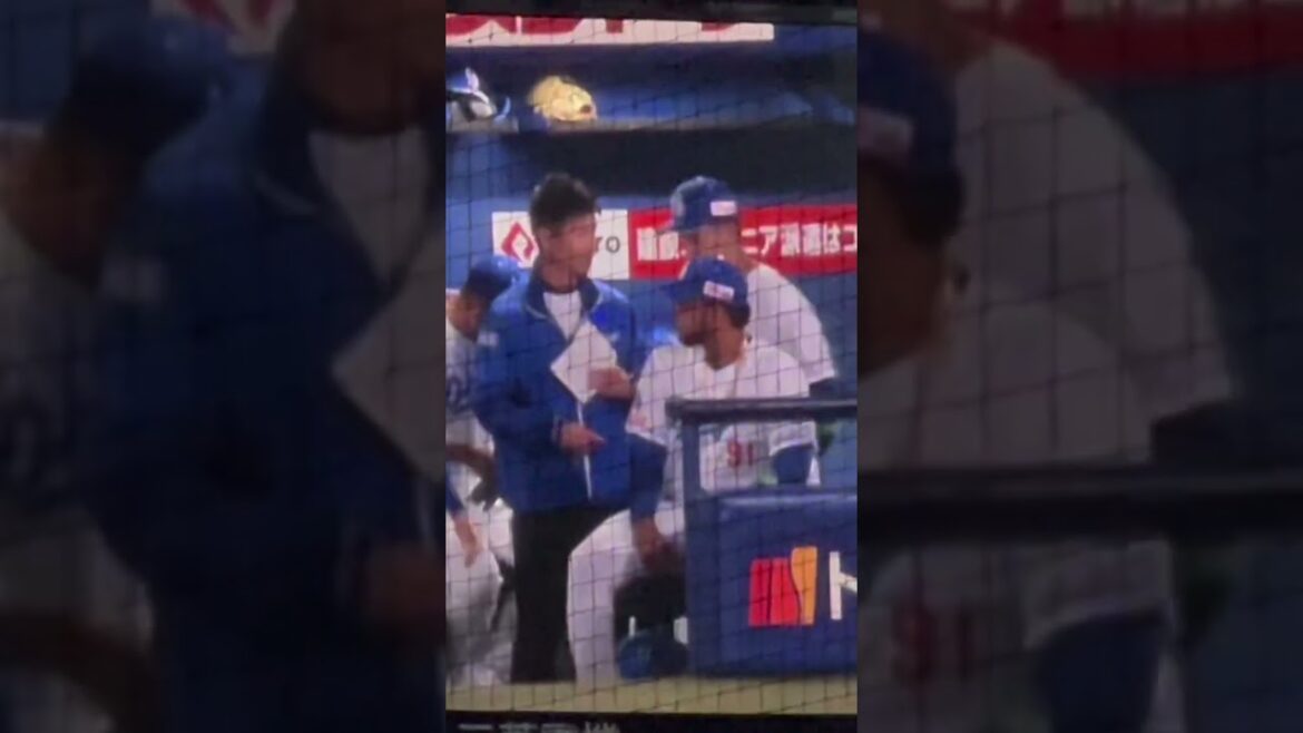 【90松山.91メヒア.92番ライデル！90番代が熱い】開幕一軍ピッチャー陣】ナゴド開幕シリーズ 読売戦 2024.4.2 三塁側内野Sからみた景色 #ドラゴンズ  #細川成也  #サヨナラホームラン