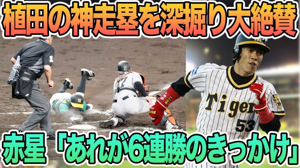 【赤星氏が植田の神走塁を深掘り大絶賛!】村上勝星なしの横浜戦へ、近本が三振増の理由を激白 #阪神 #阪神タイガース #植田海 【赤星氏が植田の神走塁を深掘り大絶賛!】村上勝星なしの横浜戦へ、近本が三振増の理由を激白 #阪神 #阪神タイガース #植田海